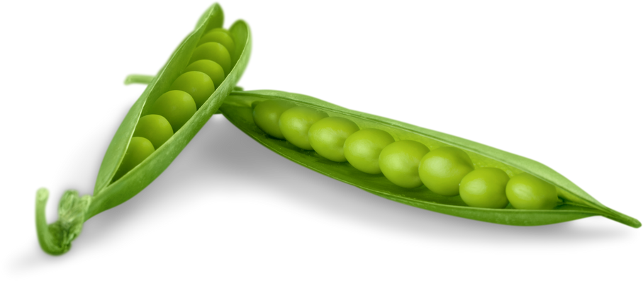 Green Peas in Pods